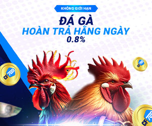 Đá Gà Hoàn trả hằng ngày 0.8%