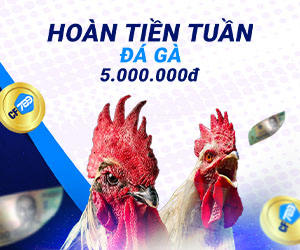 Hoàn tiền tuần Đá gà 5.000.000 đ