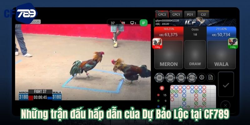 Những trận đấu hấp dẫn của Dự Bảo Lộc tại CF789