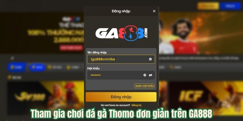 Tham gia chơi đá gà Thomo đơn giản trên GA888