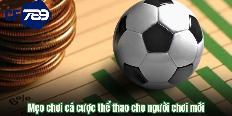 Mẹo chơi cá cược thể thao cho người chơi mới