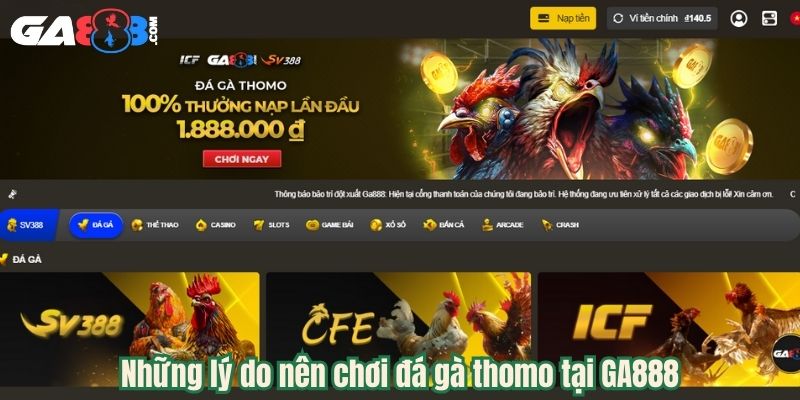 Những lý do nên chơi đá gà thomo tại GA888