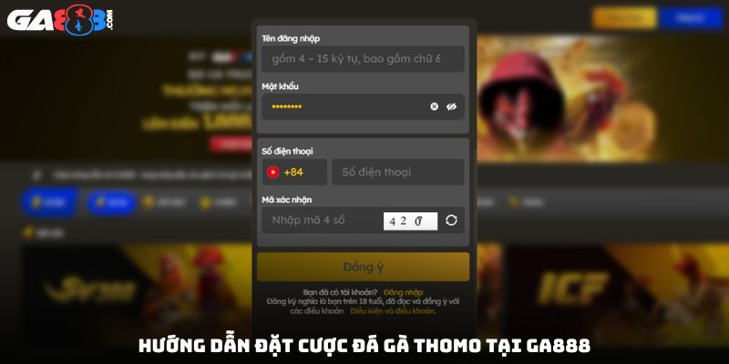 Hướng dẫn đặt cược đá gà Thomo tại GA888