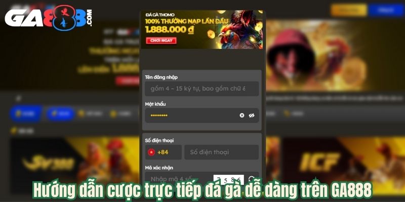Hướng dẫn cược trực tiếp đá gà dễ dàng trên GA888