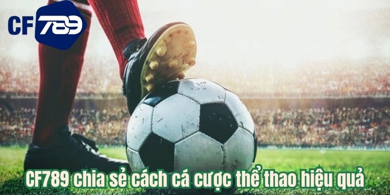 CF789 chia sẻ cách cá cược thể thao hiệu quả