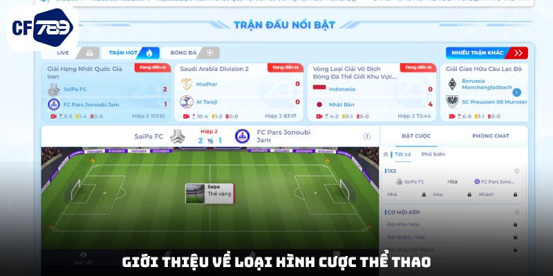 Giới thiệu về loại hình cược thể thao