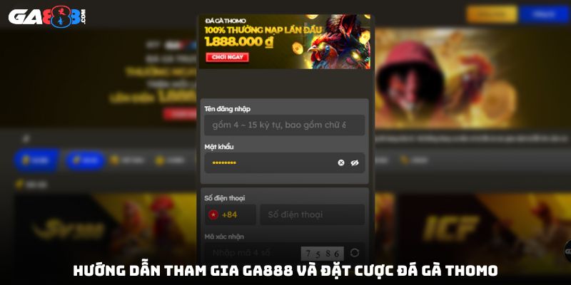 Hướng dẫn tham gia GA888 và đặt cược đá gà Thomo