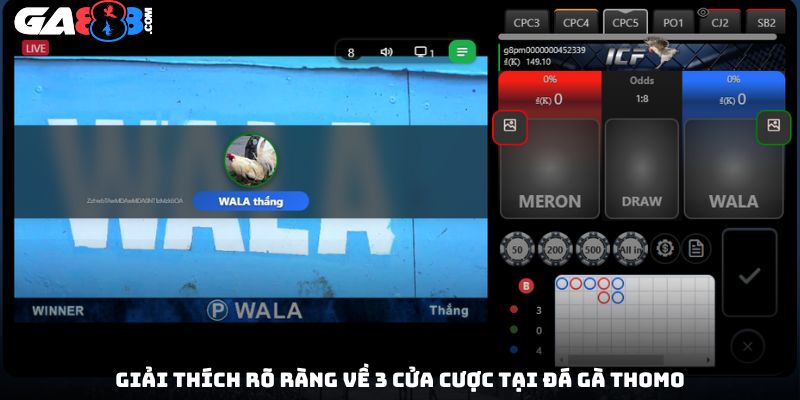 Giải thích rõ ràng về 3 cửa cược tại đá gà Thomo