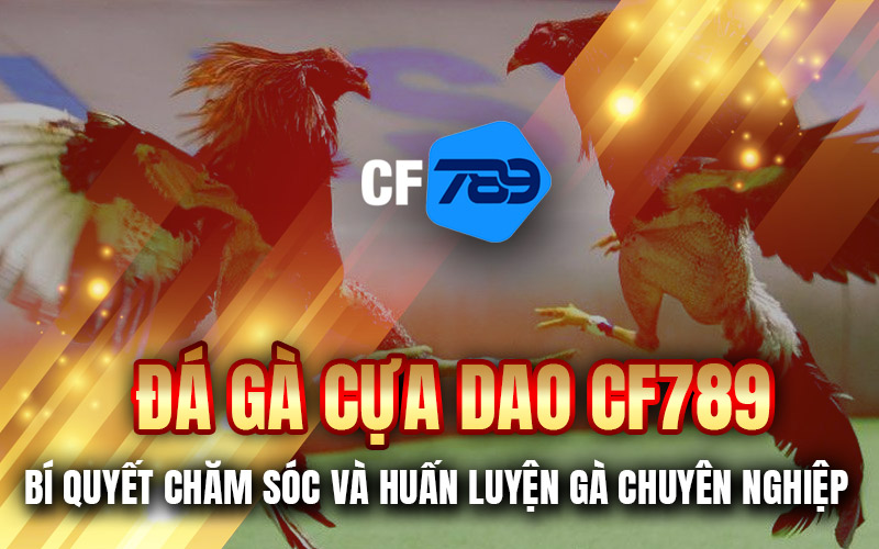 Đá Gà Cựa Dao CF789 – Bí Quyết Chăm Sóc Và Huấn Luyện Gà Chuyên Nghiệp