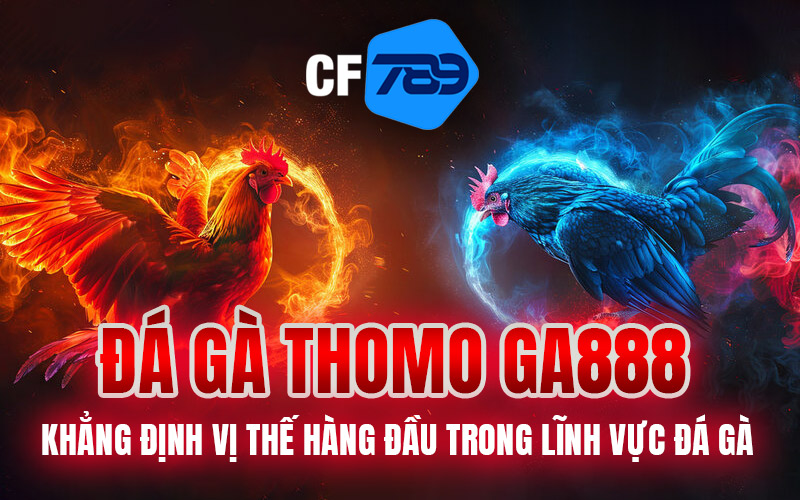 Đá Gà Thomo GA888 – Khẳng Định Vị Thế Hàng Đầu Trong Lĩnh Vực Đá Gà