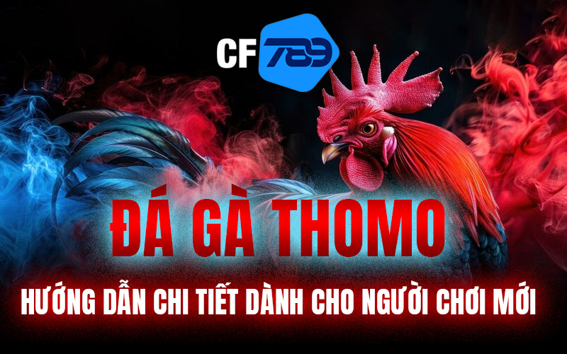 Đá Gà Thomo – Hướng Dẫn Chi Tiết Dành Cho Người Chơi Mới
