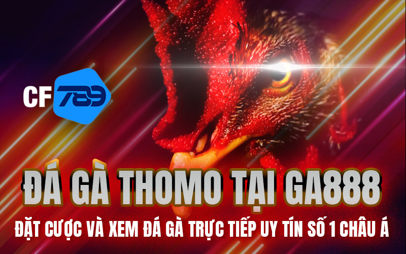 Đá Gà Thomo Tại GA888 – Đặt Cược Và Xem Đá Gà Trực Tiếp Uy Tín Số 1 Châu Á
