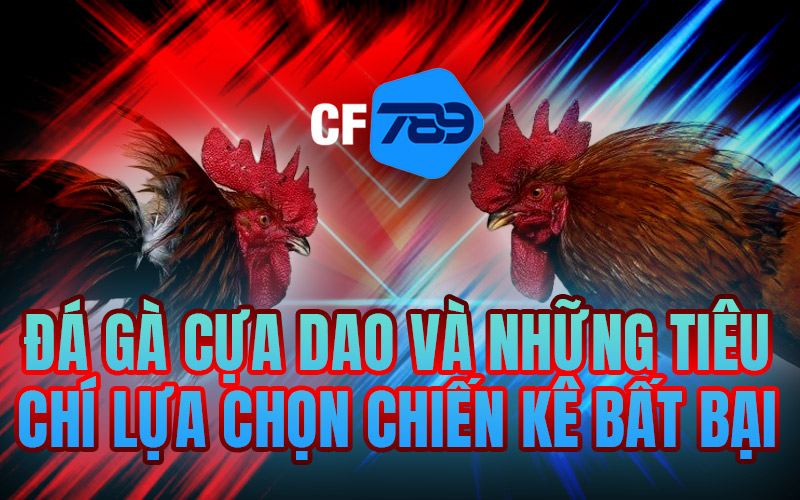 Đá gà cựa dao và những tiêu chí lựa chọn chiến kê bất bại