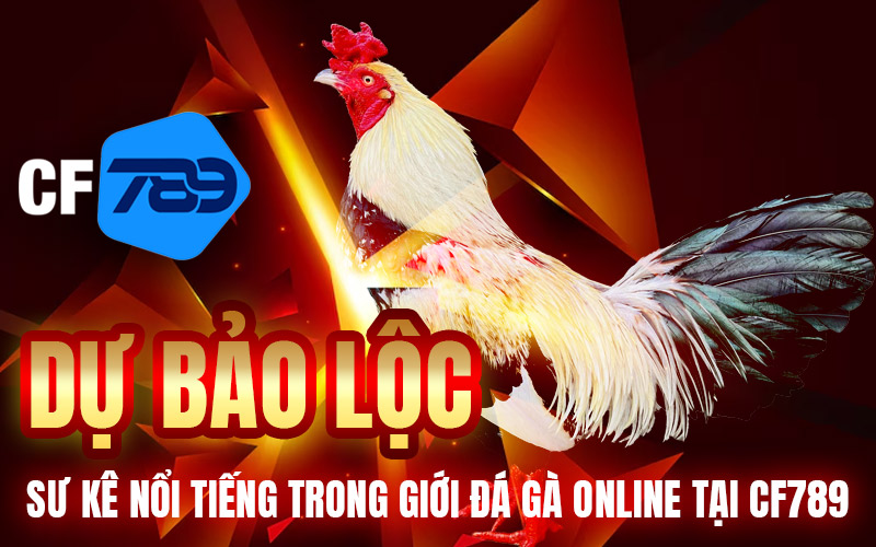 Dự Bảo Lộc – Sư Kê Nổi Tiếng Trong Giới Đá Gà Online Tại CF789
