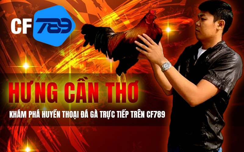Hưng Cần Thơ – Khám Phá Huyền Thoại Đá Gà Trực Tiếp Trên CF789