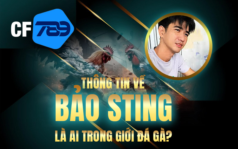 Thông tin về Bảo Sting là ai trong giới đá gà?
