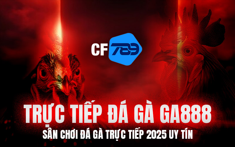 Trực Tiếp Đá Gà GA888 – Sân Chơi Đá Gà Trực Tiếp 2025 Uy Tín