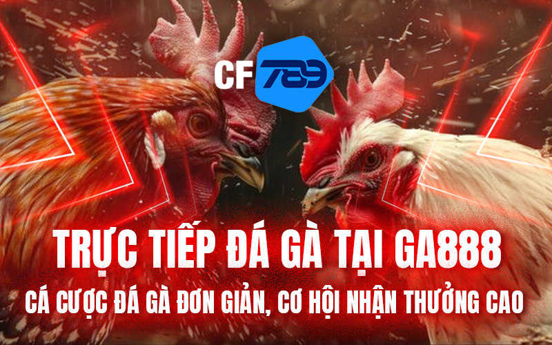 Trực Tiếp Đá Gà Tại GA888 – Cá Cược Đá Gà Đơn Giản, Cơ Hội Nhận Thưởng Cao